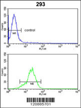 PRDX1 Antibody (Center)