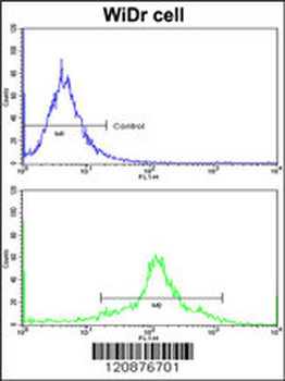 PDIA3 Antibody (Center)
