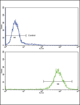 MDH2 Antibody (Center)