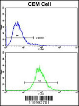 CD36 Antibody (Center)
