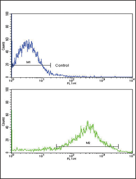 OPRS1 Antibody (N-term)
