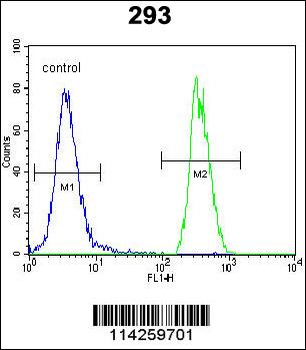SOX2 Antibody (C265)