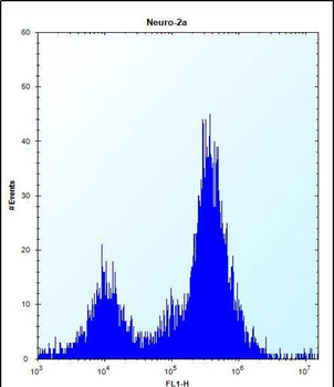 Mouse Irak1 Antibody (Center)
