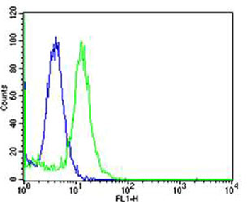 Mapk3 Antibody (C-term)
