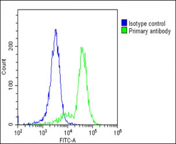 CD3Z Antibody (C-term)