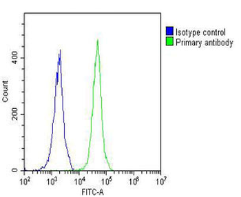 NETO2 Antibody (N-term )