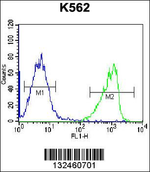 GIF Antibody (Center)