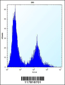 CLEC3B Antibody (Center)
