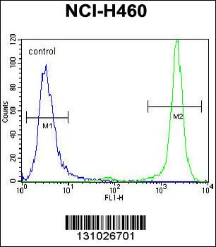 HIST3H3 Antibody (Center)
