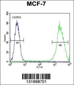 LGALS3 Antibody (C-term)