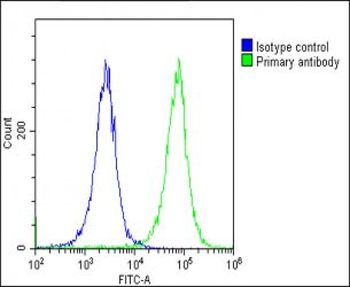 p16INK4a Antibody (C-term E119)