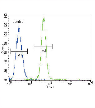 HMOX1 Antibody (Center)