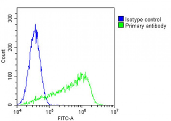 M CD31 Antibody (C-term)