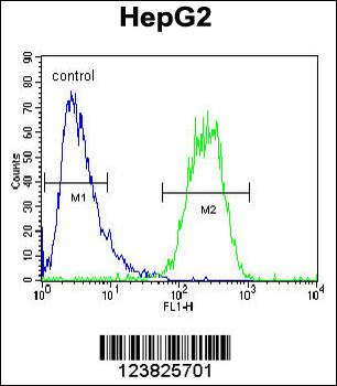 SEC13 Antibody (Center)