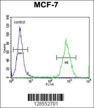 GPD1L Antibody (N-term)
