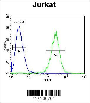 MPP1 Antibody (Center)