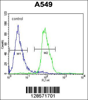 WDR32 Antibody (N-term)