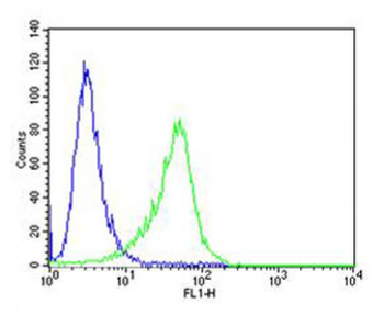 CF150 Antibody (Center)