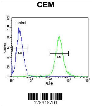 MCAF2 Antibody (Center)