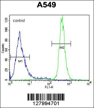WFDC12 Antibody (C-term)