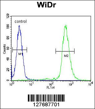 RPS6 (Ser240/244) Antibody
