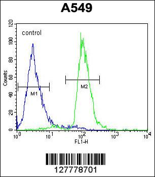 PARPBP Antibody (C-term)