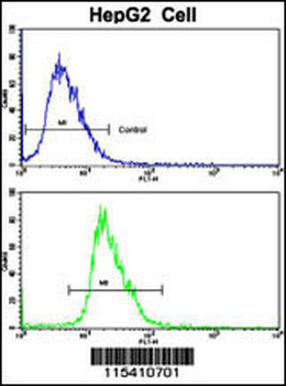 PK3CA Antibody (Y317)