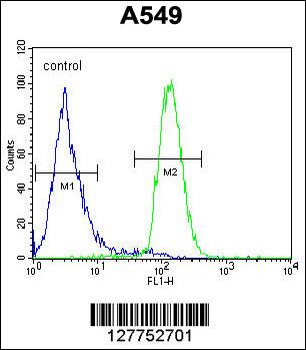 LILRA2 Antibody (Center)