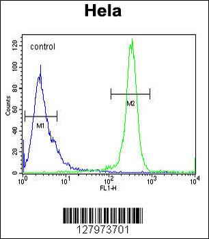 DEN5A Antibody (Center)