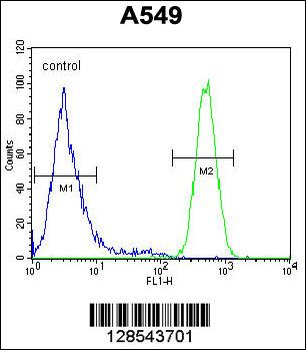 EPAS1 Antibody (N-term)