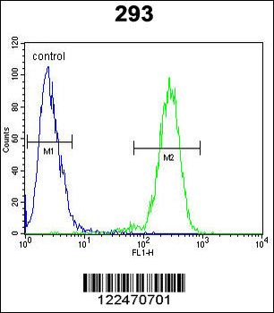 MAN2A1 Antibody (Center)