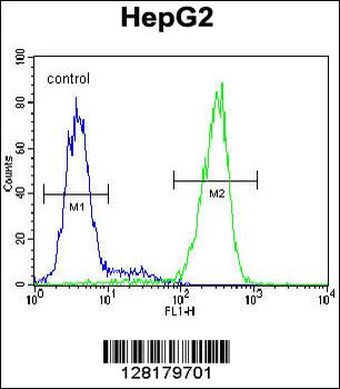 NUDT15 Antibody (C-term)