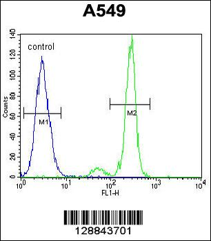 TNFRSF1A Antibody (N-term)