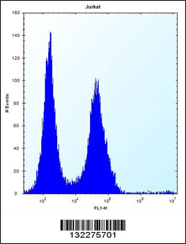 MAP4K2 Antibody (Center)