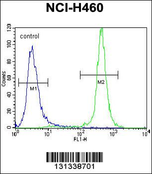 GABRA4 Antibody (Center)