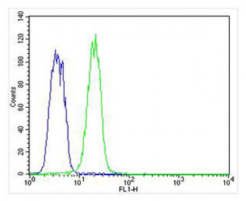 KRT12 Antibody (C-term)