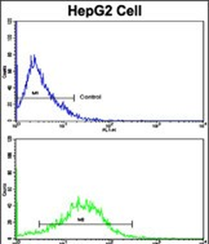 CD49e Antibody (C-term)