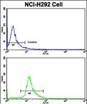 ELP2 Antibody (C-term)