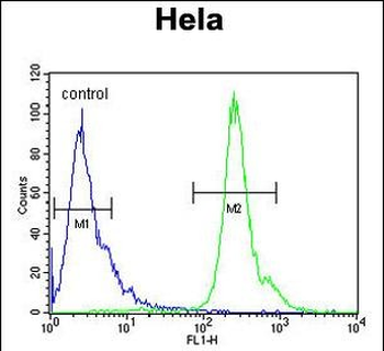 PNPLA8 Antibody (N-term)