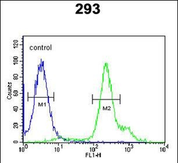 RBM24 Antibody (N-term)