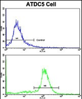 NDUFS4 Antibody (C-term)