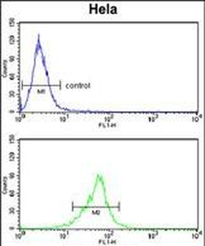 COTL1 Antibody (C-term)