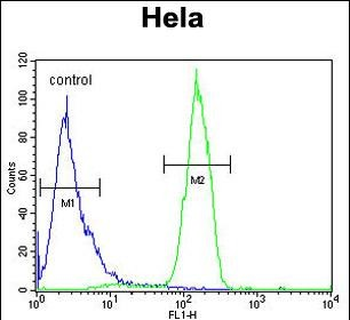SKA3 Antibody (Center)