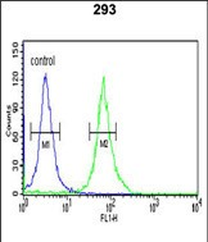 PKM2 (N-term E131) Antibody