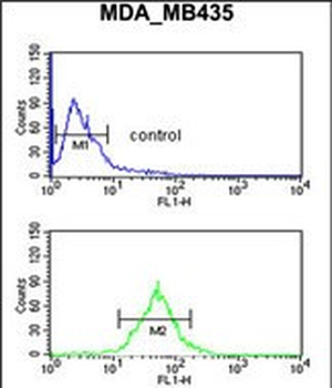 TFPT Antibody (N-term)