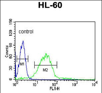 LIPE Antibody (C-term)