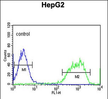 PXMP2 Antibody (Center)