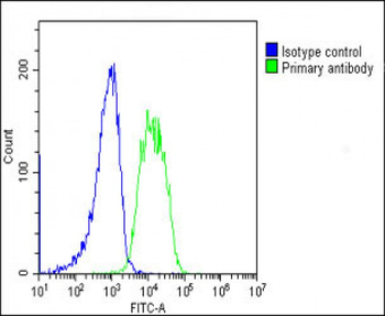 AMH Antibody (Center)