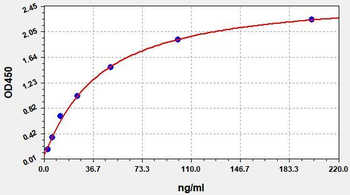 Human Anti-LAMP2 ELISA Kit
