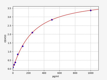 Rabbit bFGF/FGF2 (Basic Fibroblast Growth Factor) Quick ELISA Kit